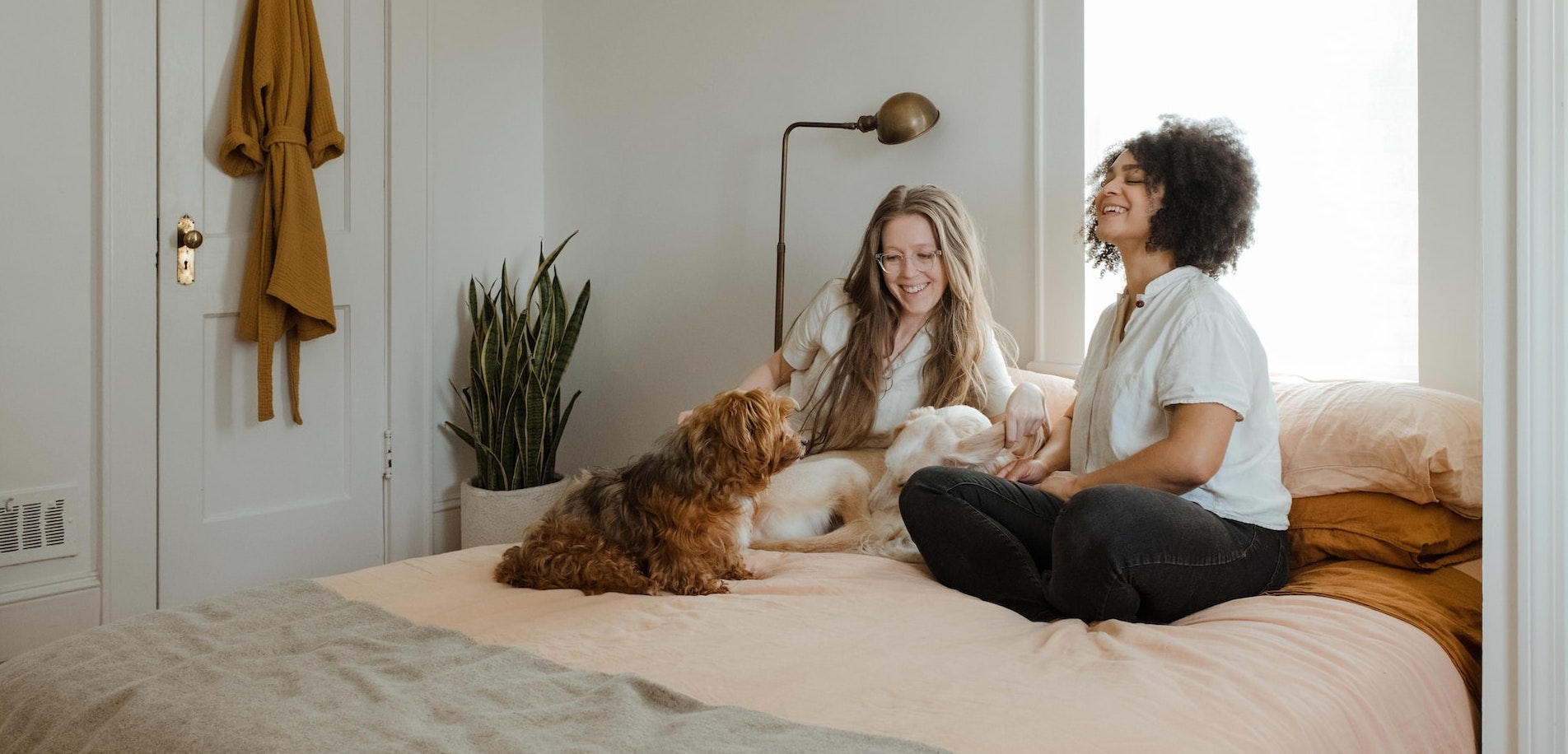 tener mascotas en departamento