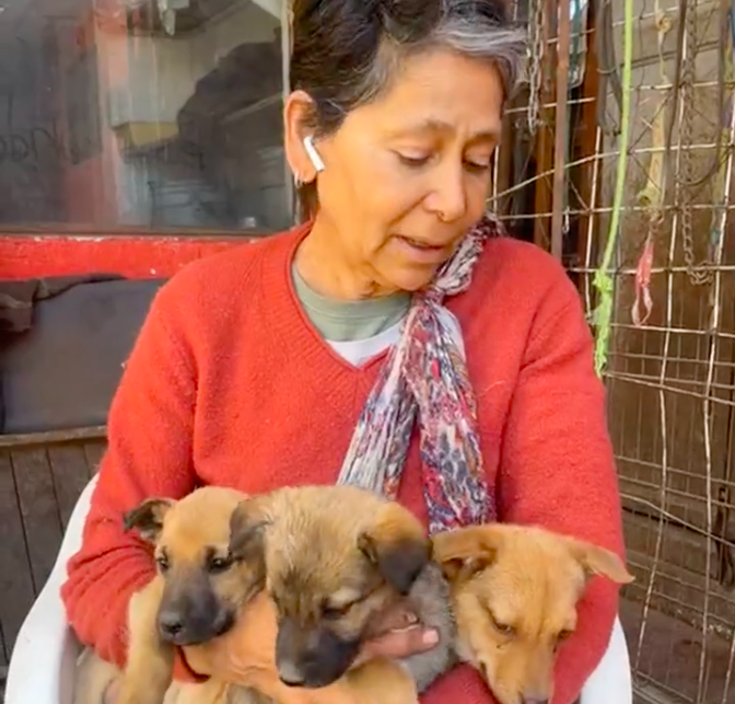georgina huerta refugio san gegorio ajusco