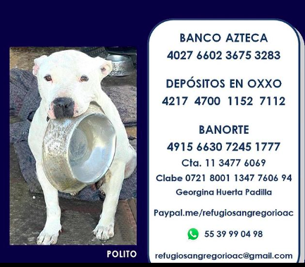 refugio san gregorio donaciones